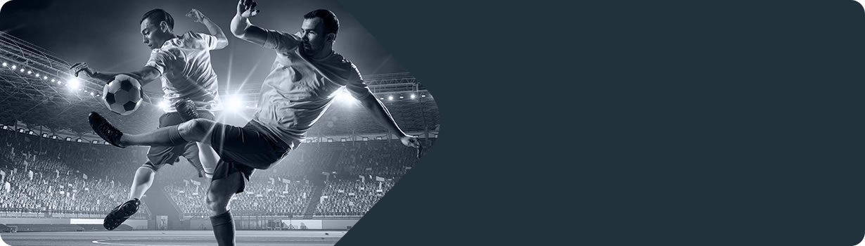 what does sudoku mean in japanese
