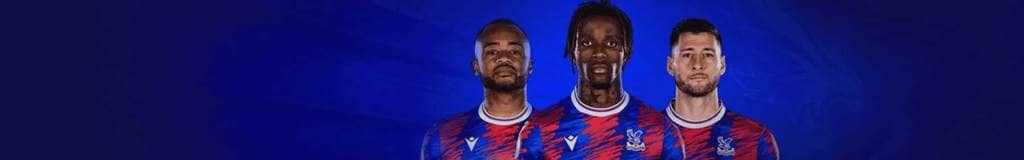 sudoku japanese meaning
